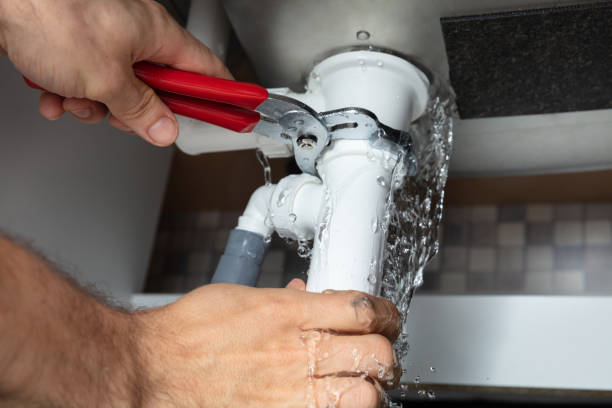 Best Mold removal after water damage  in South Fulton, GA