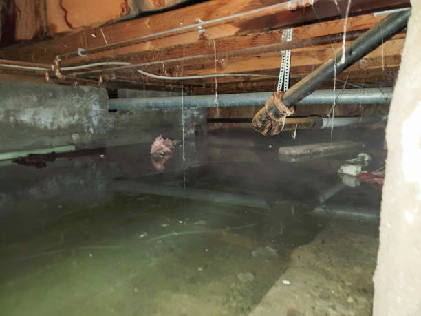 Best Sewage cleanup and water damage restoration  in South Fulton, GA