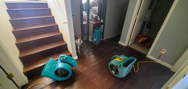 Best Water damage restoration near me  in South Fulton, GA