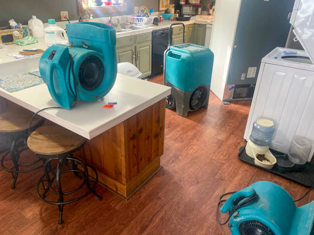 Best Flood damage cleanup  in South Fulton, GA