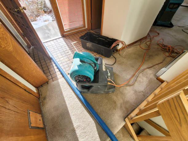 Best Water damage restoration specialists  in South Fulton, GA