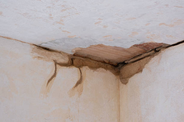 Reliable South Fulton, GA Water damage restoration Solutions