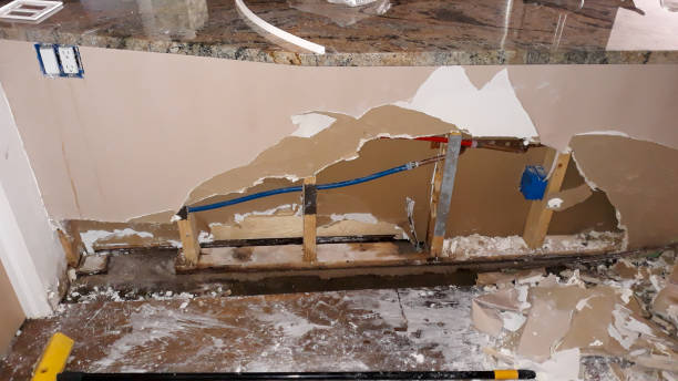 Best Water damage restoration mold remediation  in South Fulton, GA