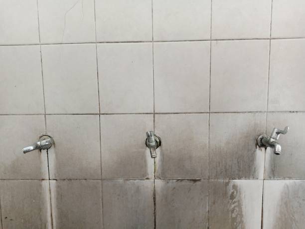 Best Local water damage restoration  in South Fulton, GA