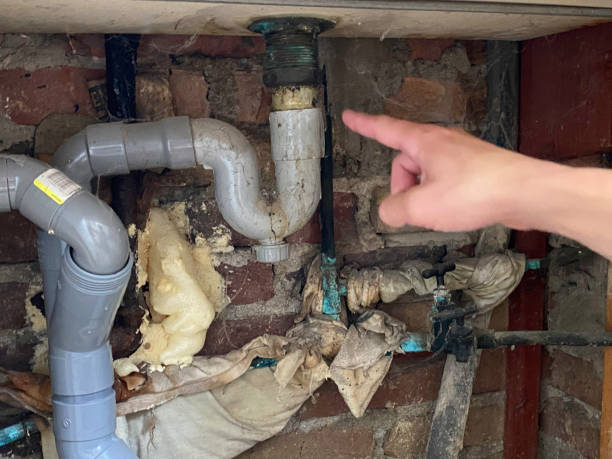 Best Professional water damage repair  in South Fulton, GA