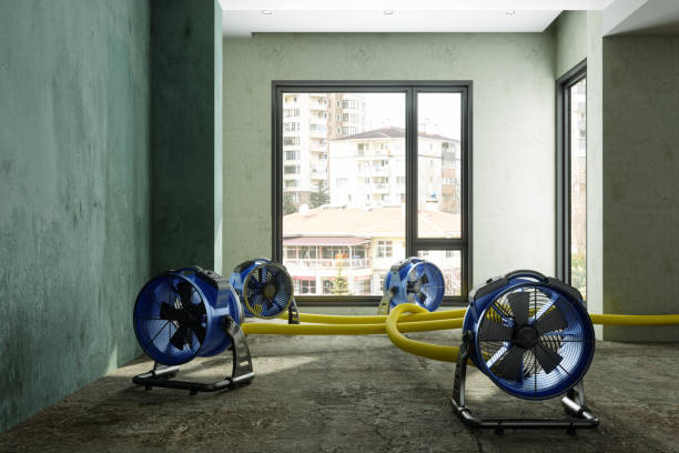 Best Water damage restoration near me  in South Fulton, GA